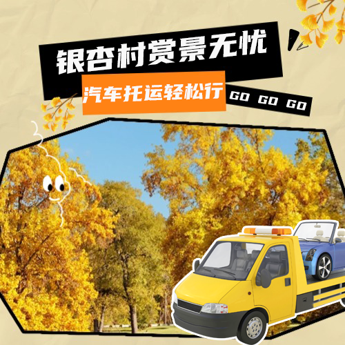 银杏村赏景无忧，汽车托运轻松行