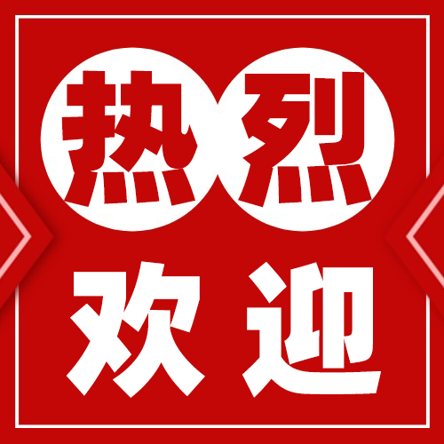 热烈欢迎临沂市委组织部领导一行莅临车拖车参观考察
